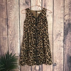 Ann Taylor Loft 2P Leopard Sheath Dress Sleeveless
